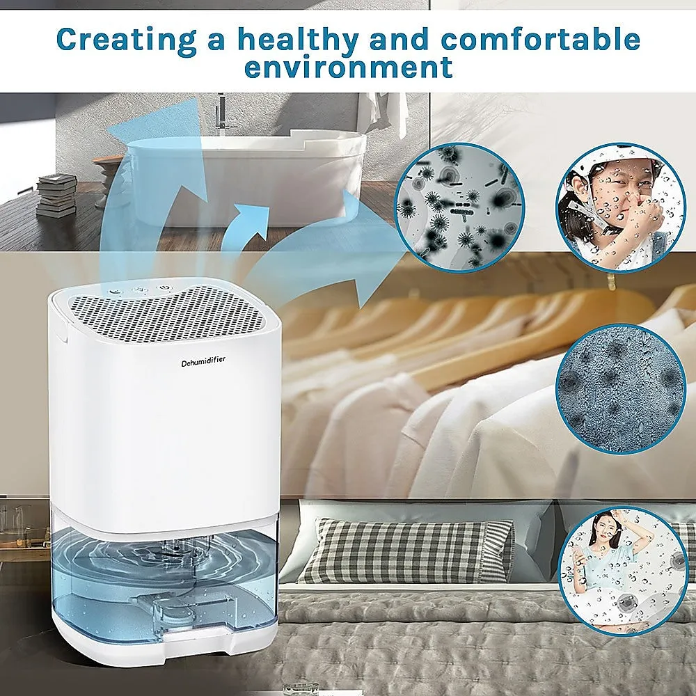 1000ML Portable Energy-Efficient Mini Dehumidifier - Randy & Travis