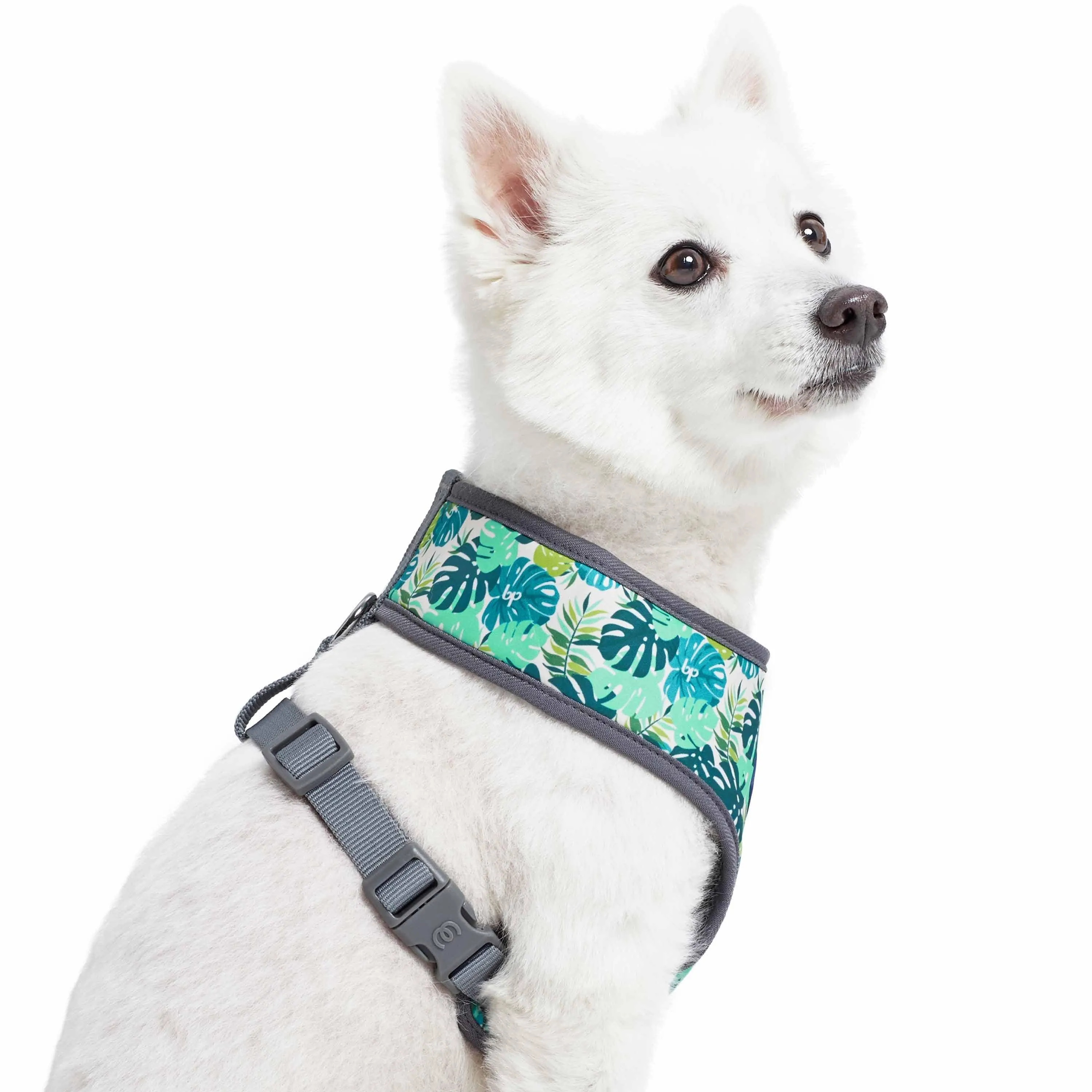 Summer Vacation Tropical Dog Harness Vest, Palm Leaves Hawaiian Harness