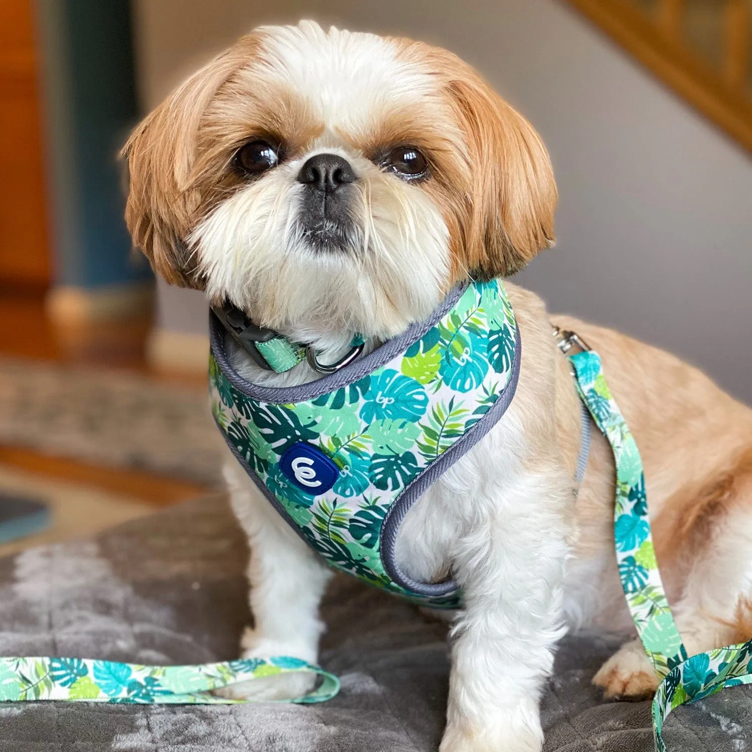 Summer Vacation Tropical Dog Harness Vest, Palm Leaves Hawaiian Harness