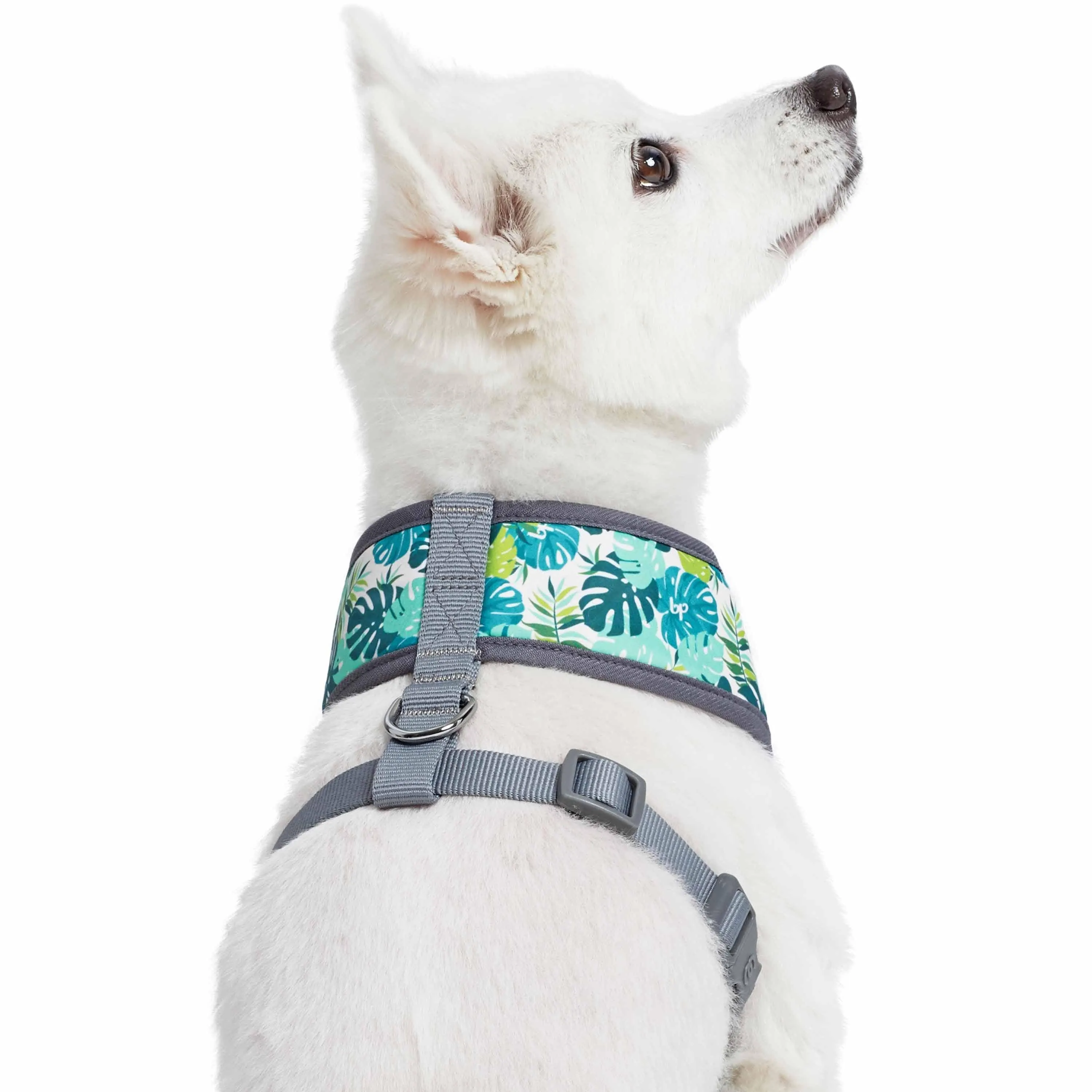 Summer Vacation Tropical Dog Harness Vest, Palm Leaves Hawaiian Harness